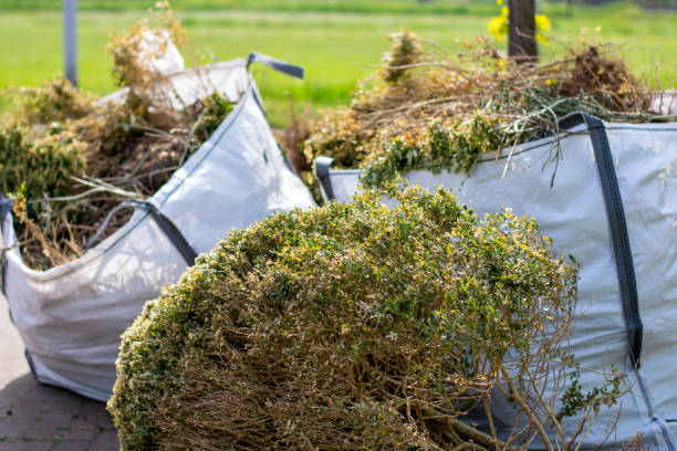 Best Construction Debris Removal  in Buena Vista, VA